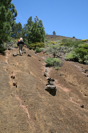 LaPalma_2008_07