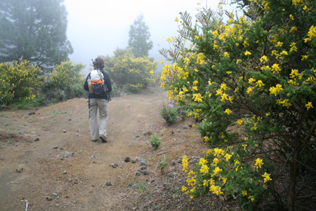 LaPalma_2008_13