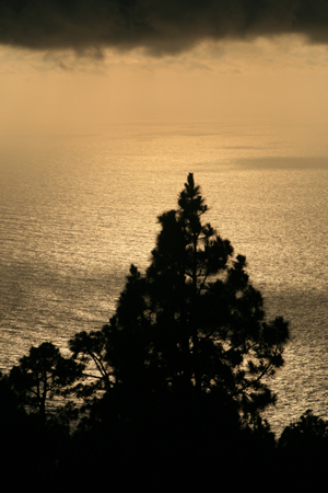 LaPalma_2008_25