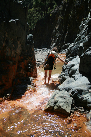 LaPalma_2008_31