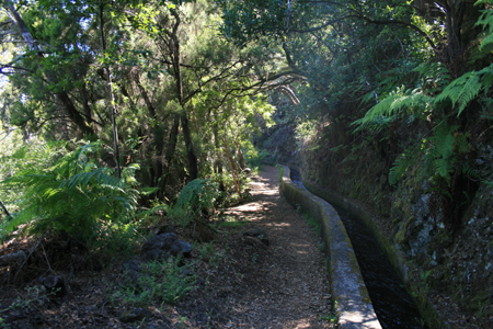 LaPalma_2008_32