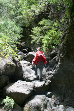 LaPalma_2008_34