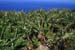 LaPalma_2008_15