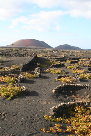 Lanzarote_2005_16