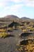 Lanzarote_2005_16