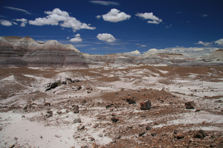 11_PetrifiedForest_BlueMesa