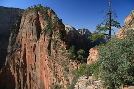 60_Zion_AngelsLanding